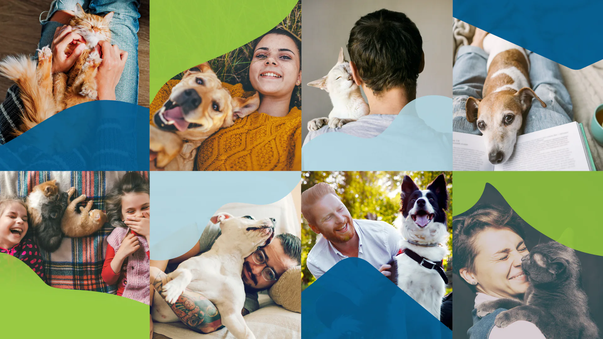 Animal Welfare League brand curve motif