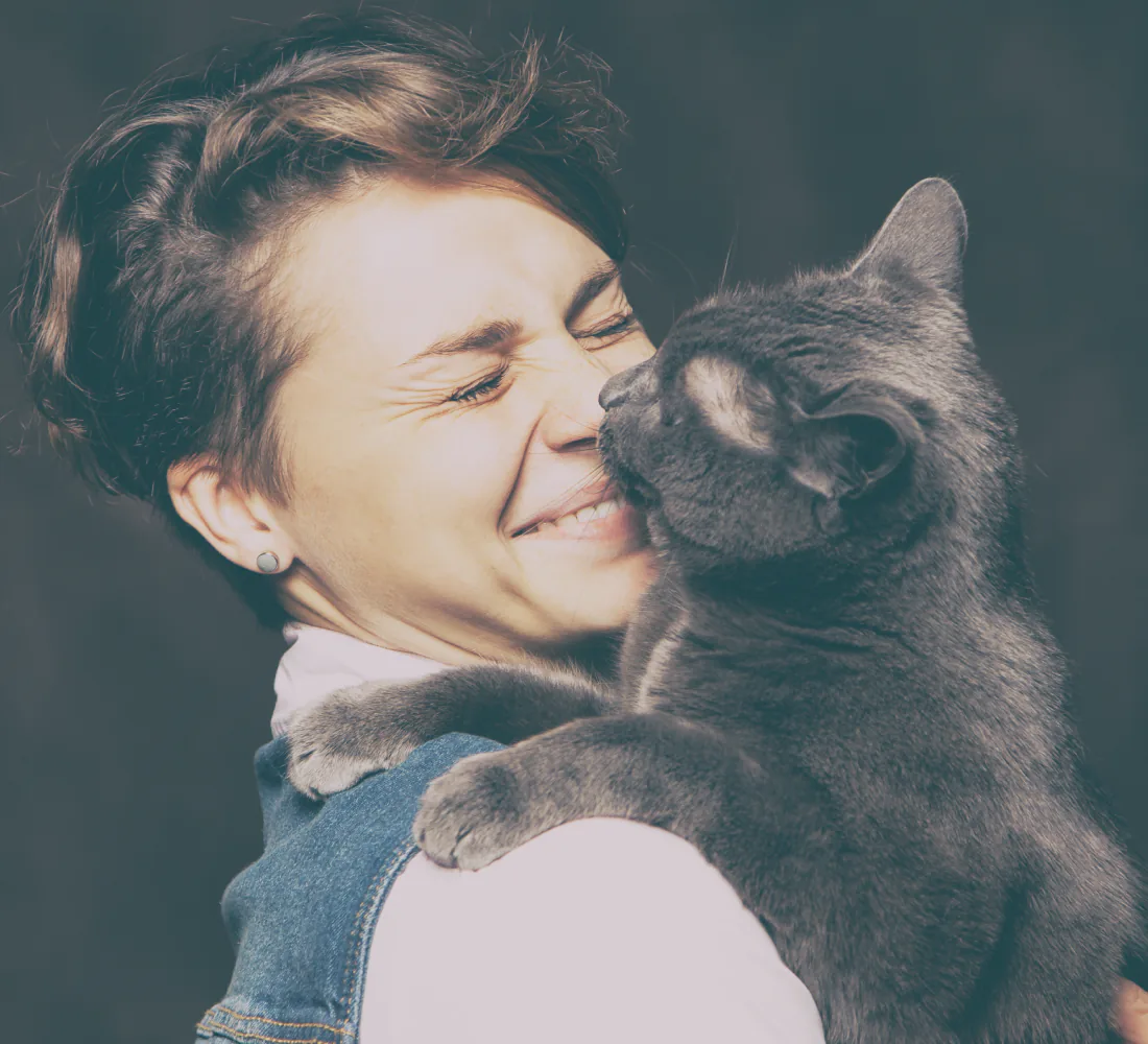 Animal Welfare League | Branding, Graphic Design, print collateral, web development, interface design