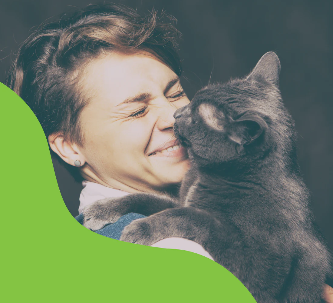 Animal Welfare League | Branding, Graphic Design, print collateral, web development, interface design